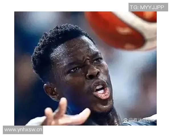 尼克斯对施罗德表现出浓厚兴趣国王队数据分析引发关注